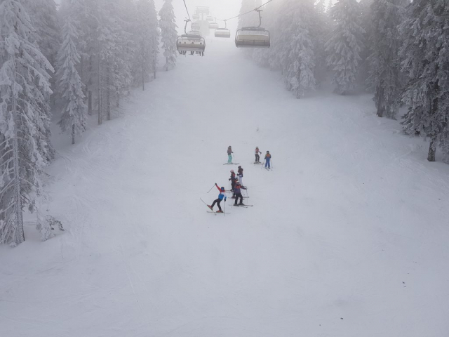 Grupa de ski copii - tabere ski Progressive Sports Poiana Brasov