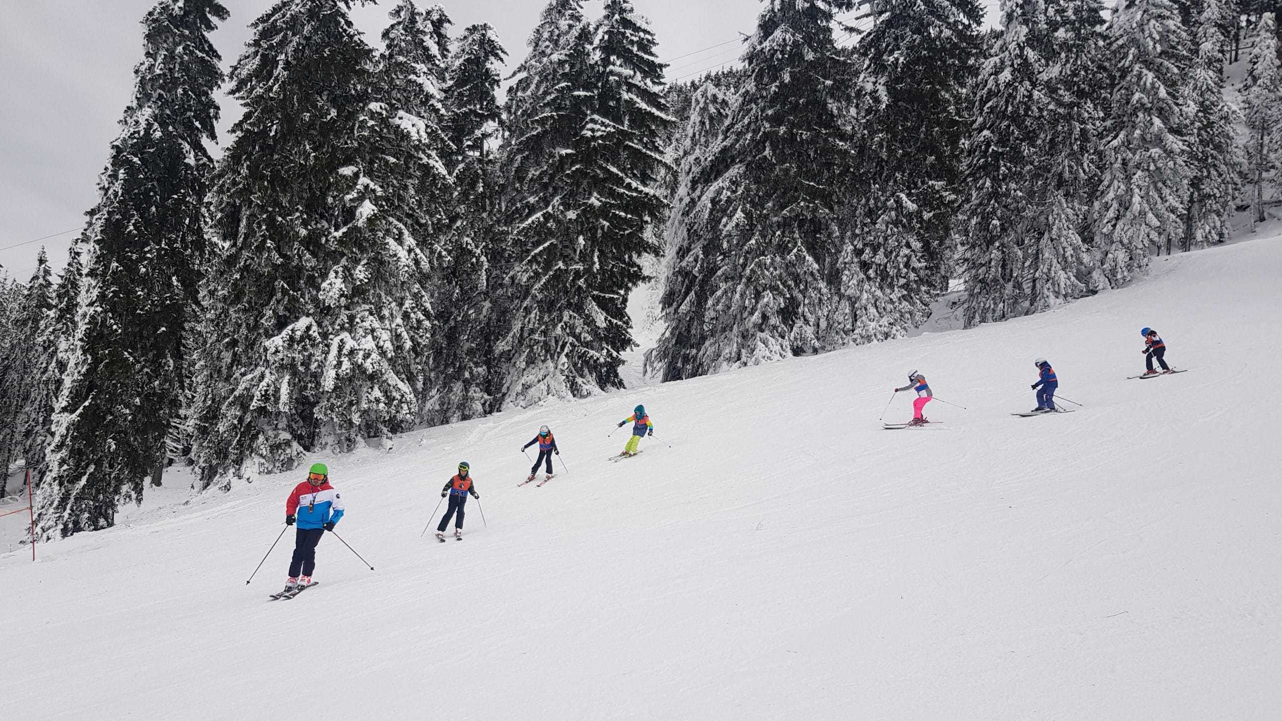Tabara de ski pentru copii Progressive Sports