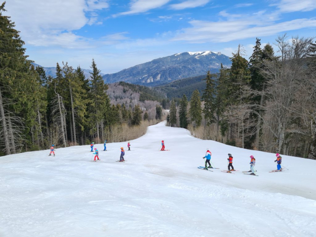 Grupe de ski in taberele de ski Progressive Sports